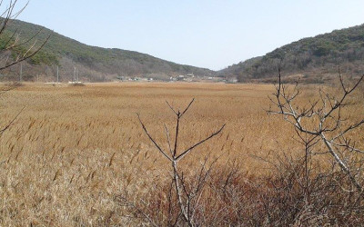 Dokjeok Island, Ongjin-Gun March 2nd-6th