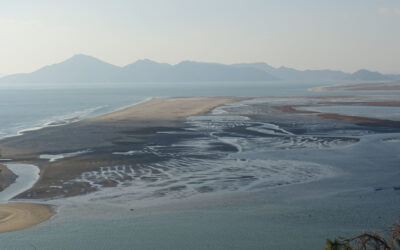 Busan: A Future Capital City of Natural Heritage and Biodiversity?
